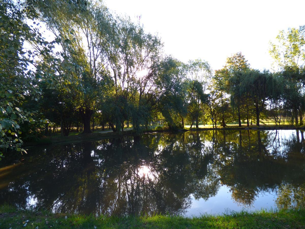 Complejo Ecologico Naturaleza Viva Buenos Aires Ngoại thất bức ảnh